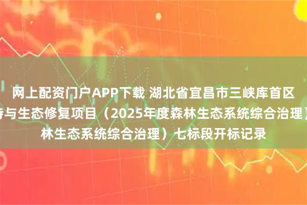 网上配资门户APP下载 湖北省宜昌市三峡库首区西陵峡段水土保持与生态修复项目（2025年度森林生态系统综合治理）七标段开标记录