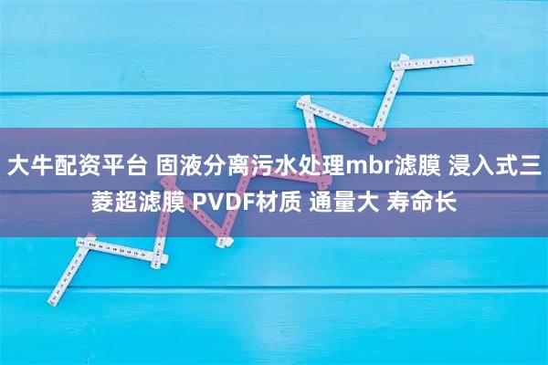 大牛配资平台 固液分离污水处理mbr滤膜 浸入式三菱超滤膜 PVDF材质 通量大 寿命长
